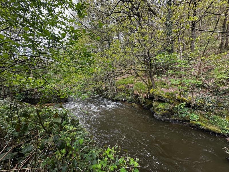 Maison en pierre - 170 m² - 6 pièces