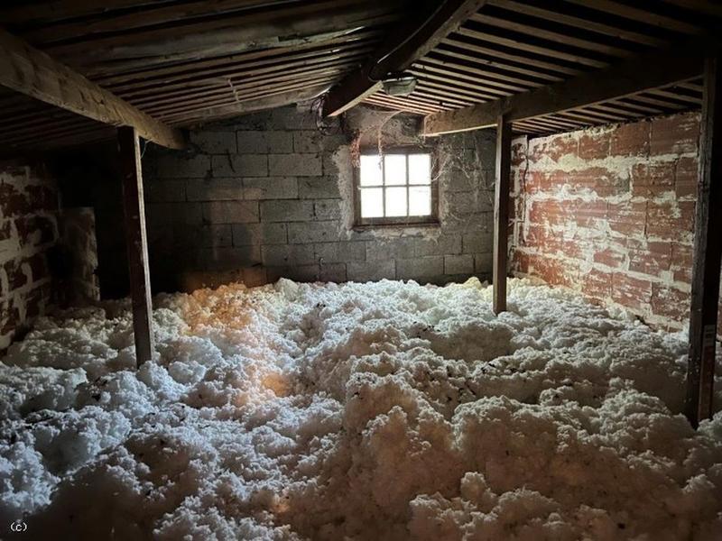 Maison chambre d'hôtes - 370 m² - 13 pièces