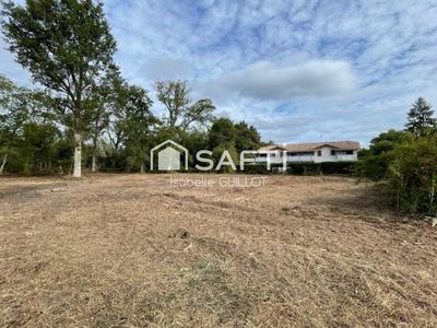 Terrain - 11 368 m²