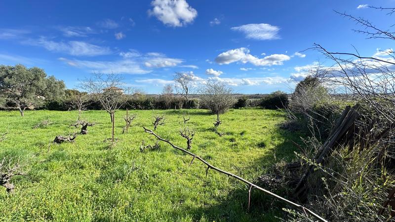 Maison - 204 m² - 5 pièces