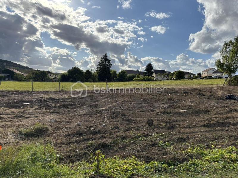 Terrain - 2 331 m²