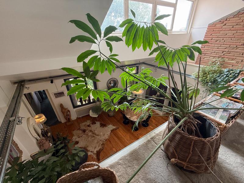 Maison - 188 m² - 5 pièces