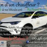 Chauffeur Vtc Transports lions de la route