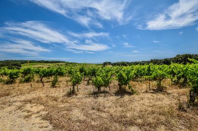 Maison - 47 m² - 2 pièces