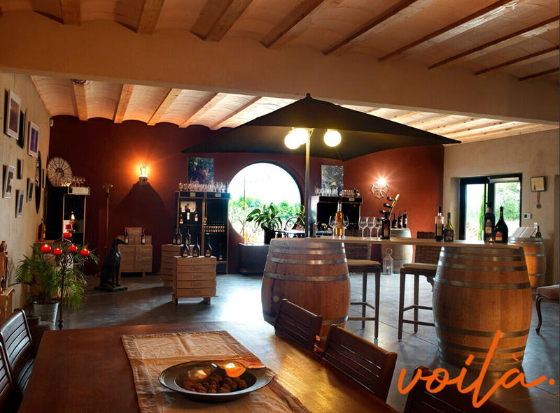 Local d'activité / Entrepôt - 680 m² - 6 pièces