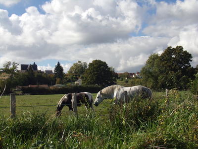 Trec de la Ménigaudière : randonnée équestre