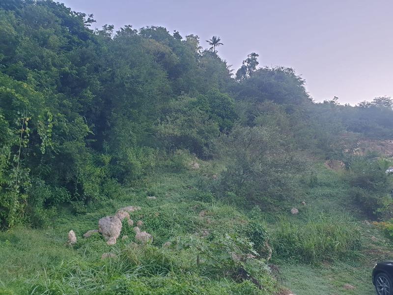 Terrain constructible - 2 000 m²