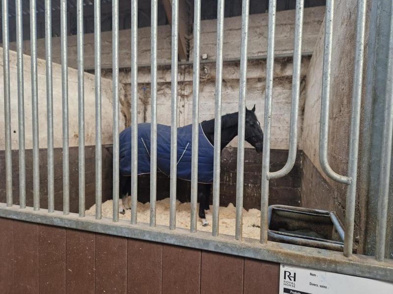 Maison - 620 m² - 3 pièces