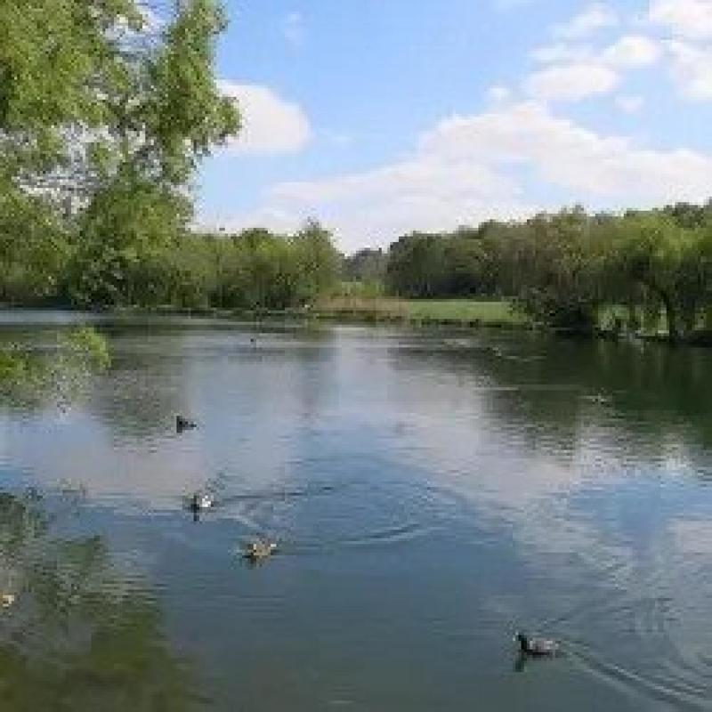 Appartement - 81 m² - 5 pièces