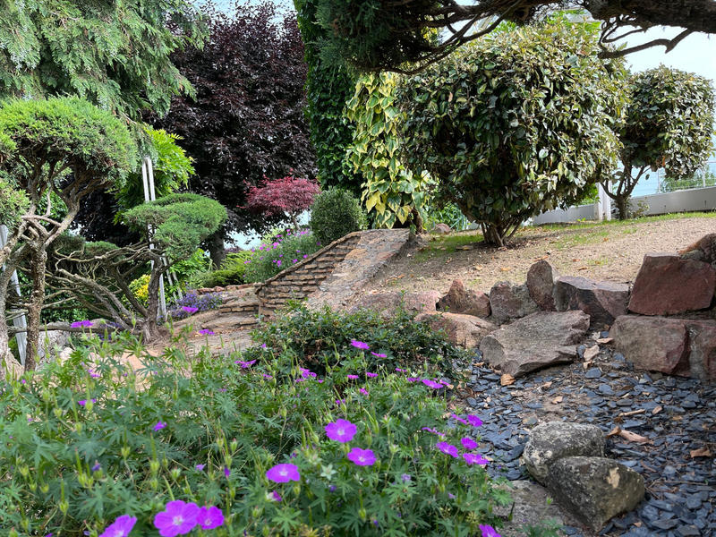 Propriété - 240 m² - 6 pièces