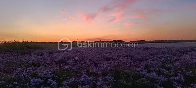 Maison de ville - 42 m² - 3 pièces