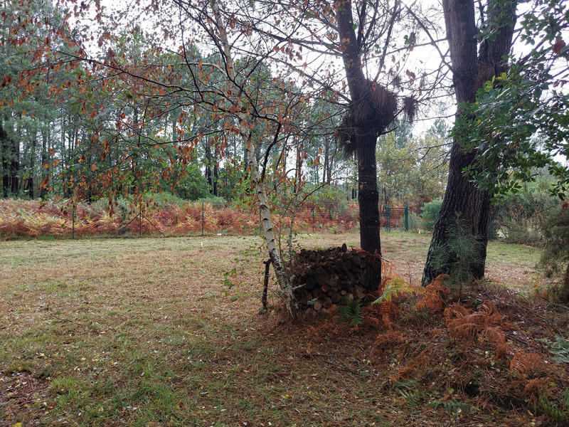 Terrain constructible - 835 m²