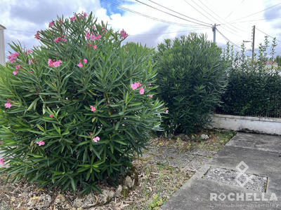 Maison - 86 m² - 5 pièces