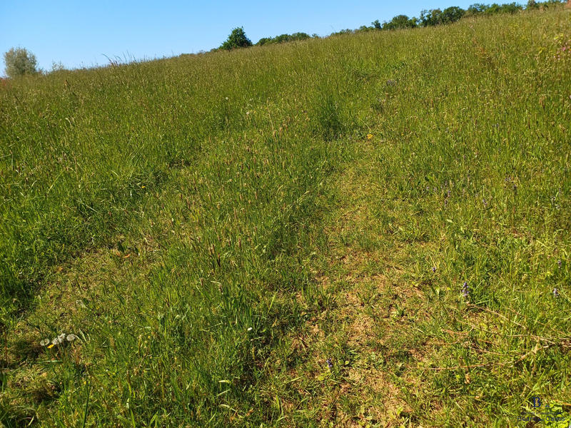 Terrain agricole - 7 120 m²