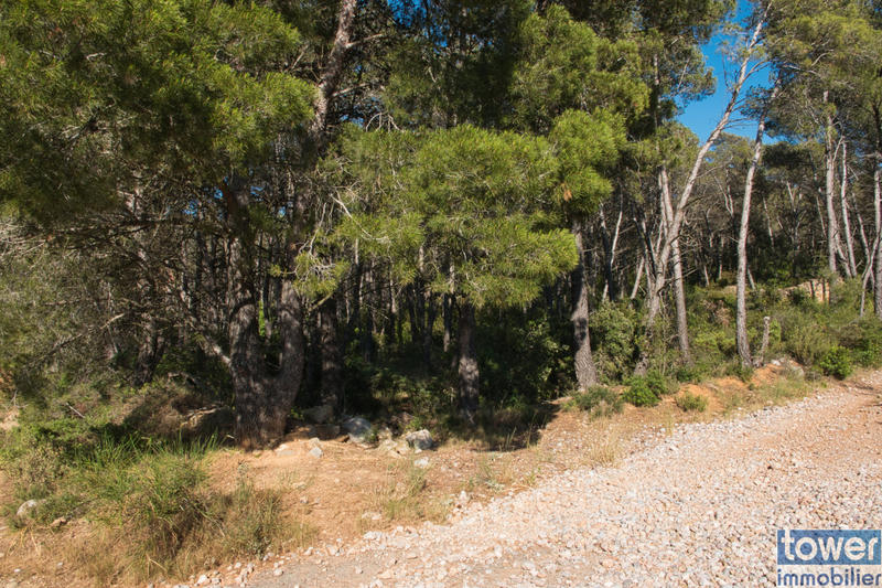 Terrain de loisirs - 42 302 m²