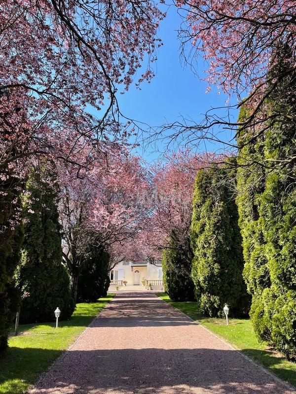 Demeure - 191 m² - 9 pièces