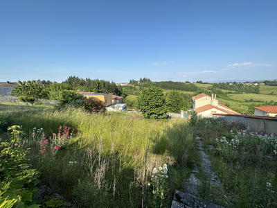 Terrain - 559 m²