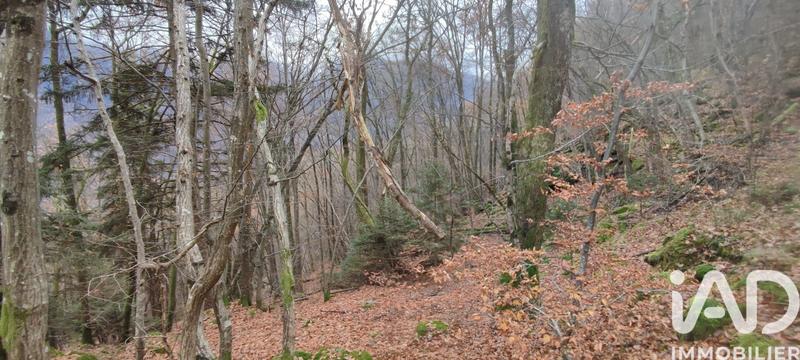 Terrain - 61 700 m²