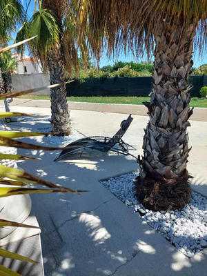 Maison - 208 m² - 7 pièces