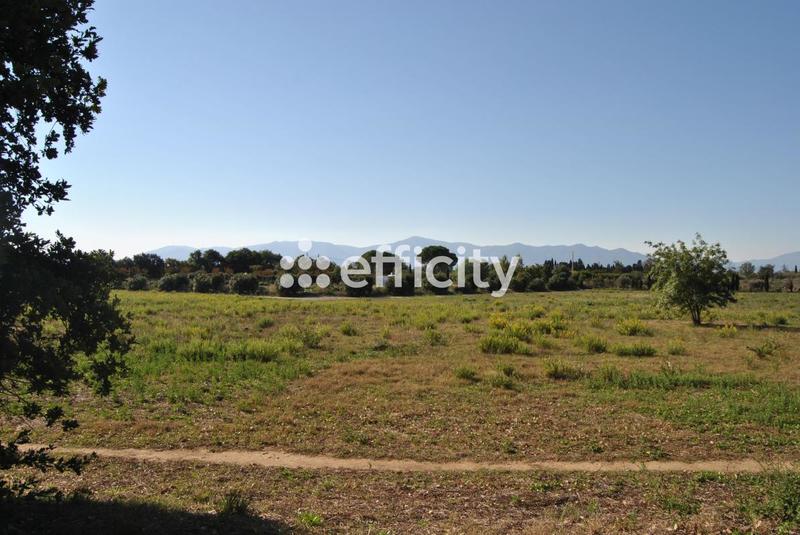 Villa - 100 m² - 5 pièces