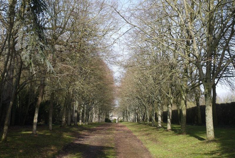 Manoir - 1 100 m² - 20 pièces