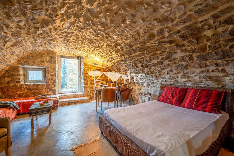 Mas - 265 m² - 9 pièces