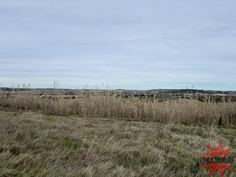 Terrain agricole - 5 915 m²
