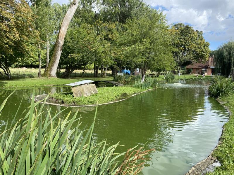 Maison de campagne - 60 m² - 3 pièces