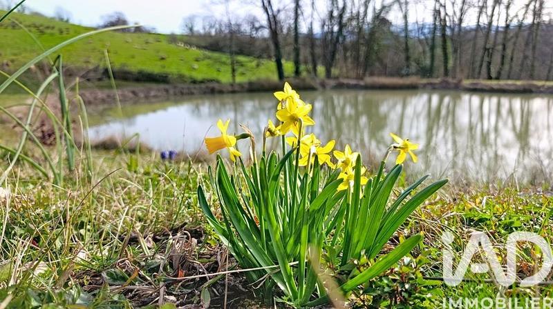 Maison - 60 m² - 3 pièces