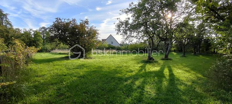 Terrain constructible - 3 149 m²