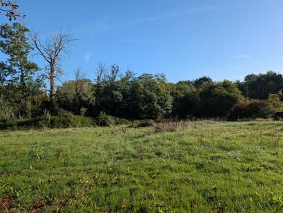 Corps de ferme - 185 m² - 5 pièces