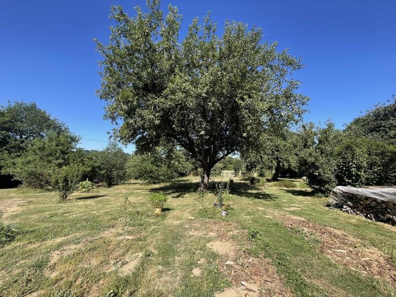 Maison ancienne - 50 m² - 2 pièces