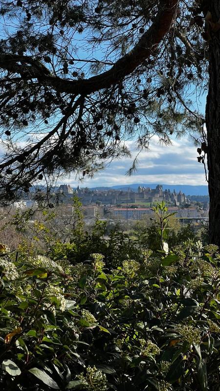 Maison - 427 m² - 11 pièces