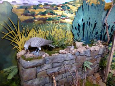 Maison des oiseaux et de la nature