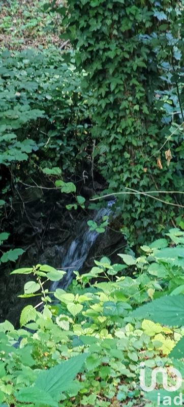 Maison - 348 m² - 10 pièces