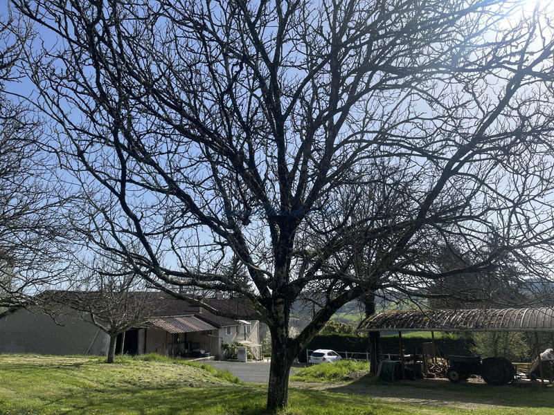 Maison - 155 m² - 7 pièces