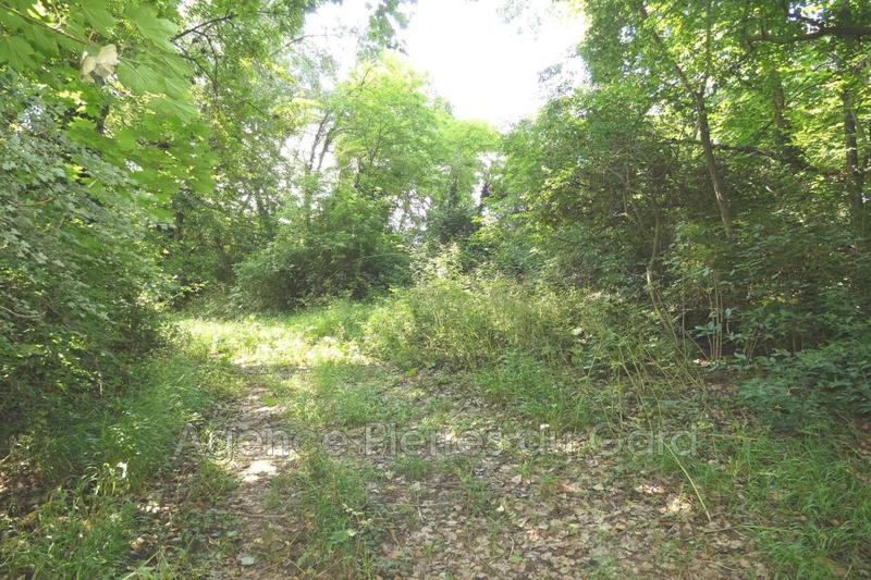 Terrain de loisirs - 2 215 m²