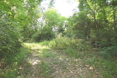 Terrain de loisirs - 2 215 m²