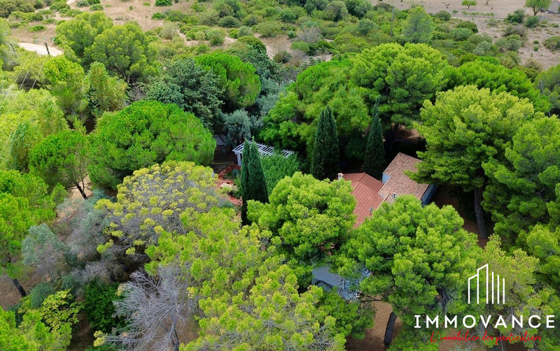 Maison ancienne - 170 m² - 5 pièces