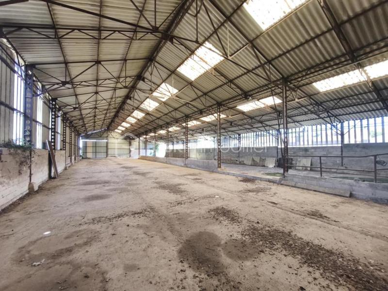 Maison - 238 m² - 7 pièces