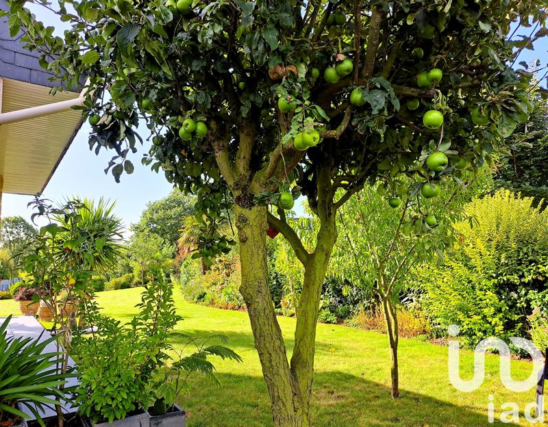 Maison - 177 m² - 6 pièces