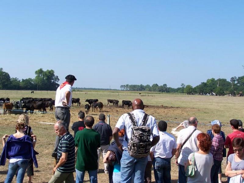 Soirée Moules à la Plancha