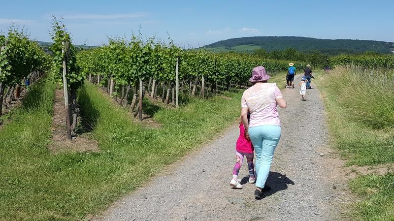 22ème Randonnée gourmande Ottrottoise