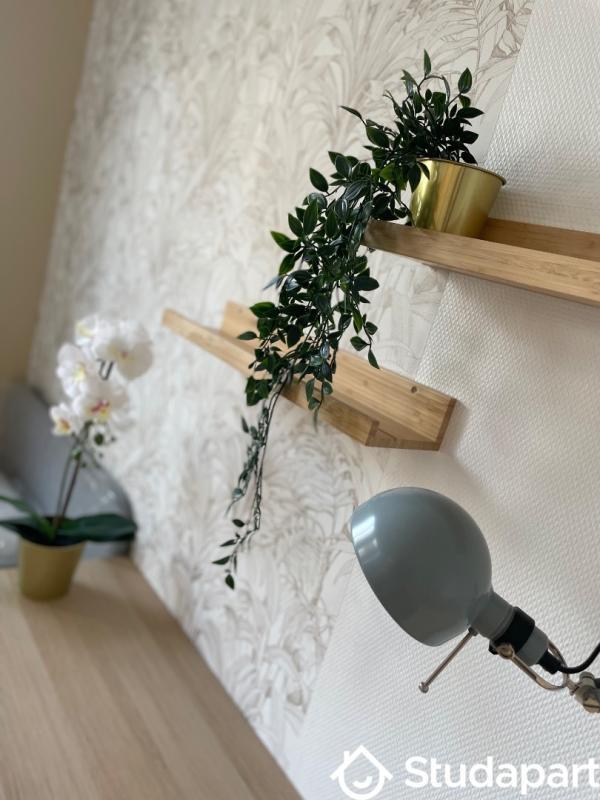 Chambre - 13 m² - 1 pièce