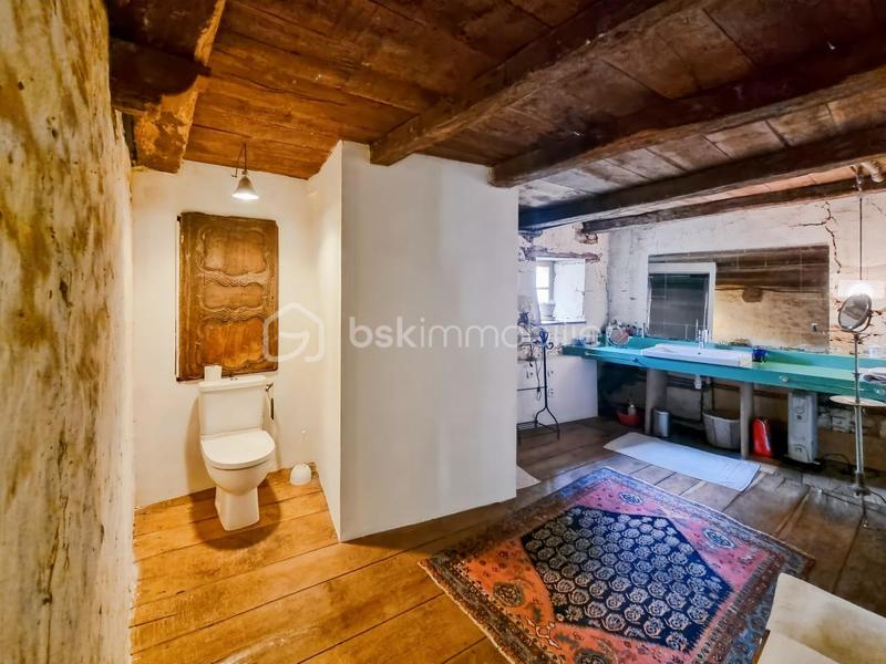 Maison en pierre - 560 m² - 11 pièces