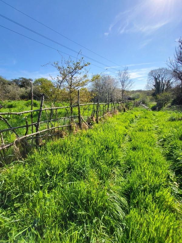 Hangar - 520 m² - 1 pièce