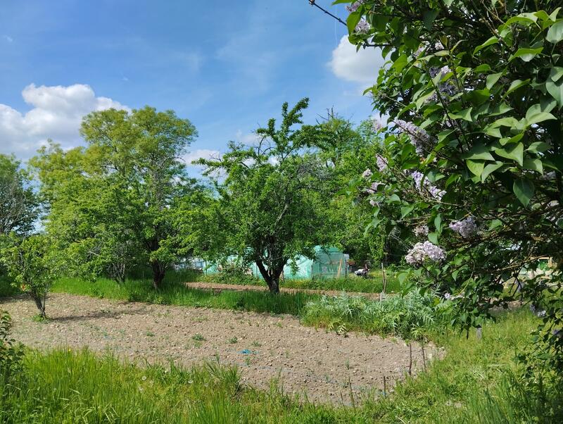 Maison ancienne - 148 m² - 9 pièces