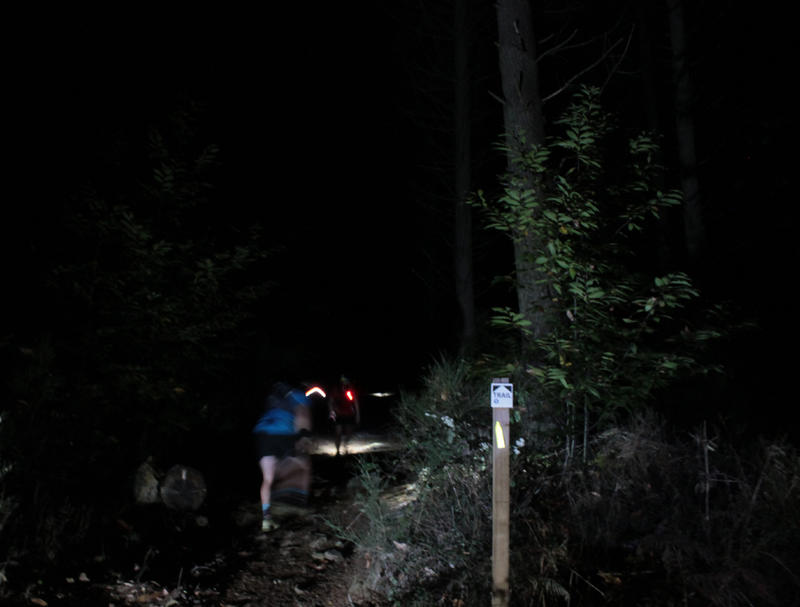 Cazinight trail nocturne