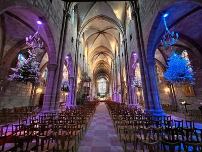 Exposition : l'histoire de l'arbre de Noël