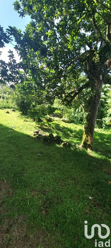 Maison - 250 m² - 9 pièces